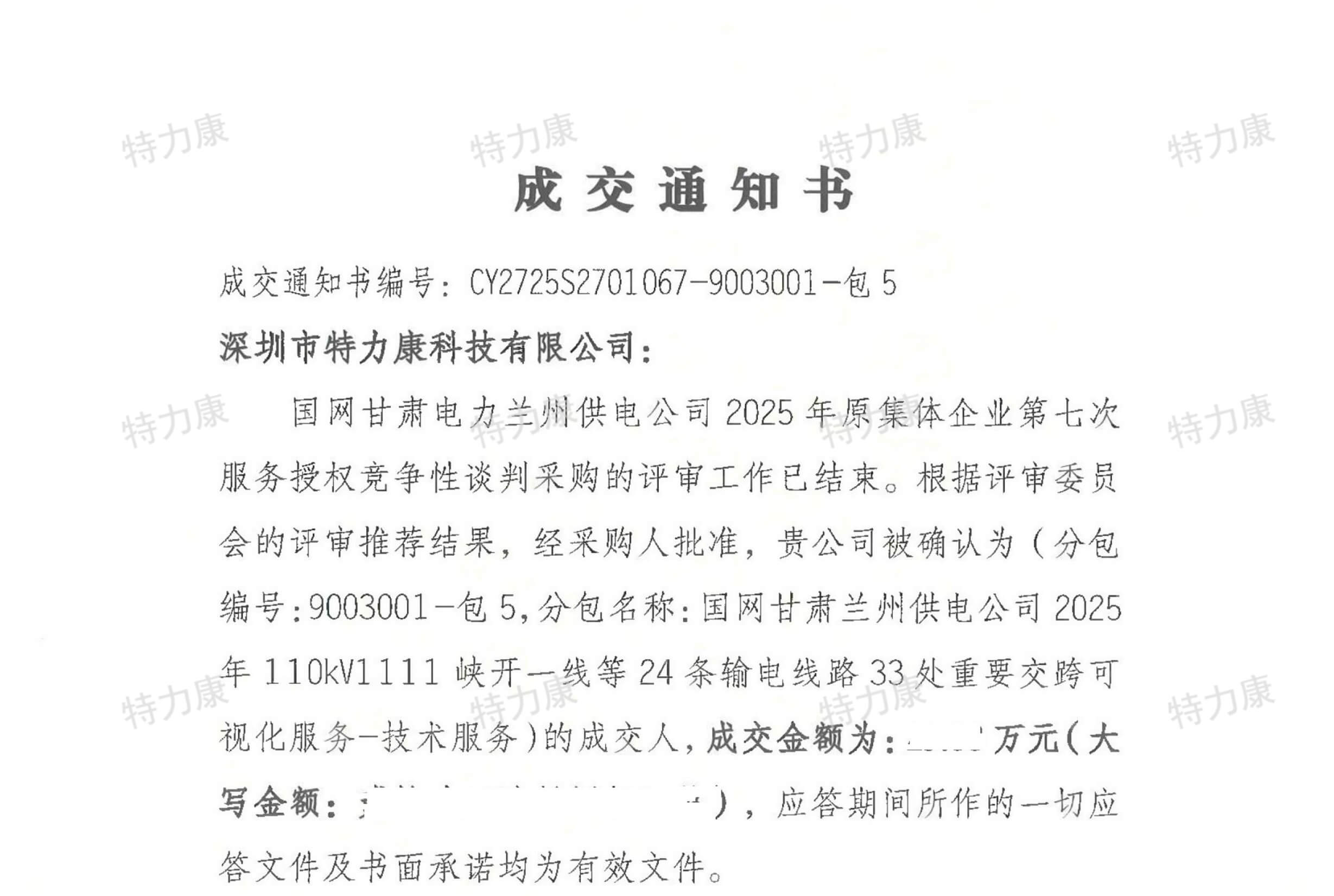 2025 年 110kV 峽開一線等 24 條輸電線路 33 處重要交跨可視化服務